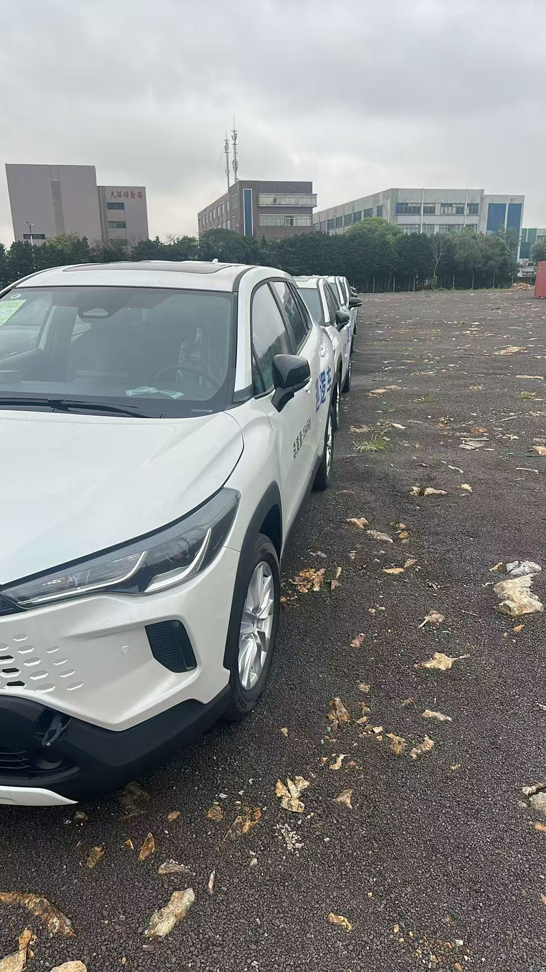 Toyota Corolla Cross 2.0L Hybrid Elite 2026, фото 3